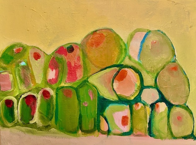 blooming cactuses